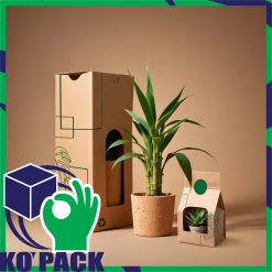 Hộp Giấy Carton Đựng Cây Cảnh Xuất Khẩu & Nội Địa